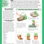 Home Gardener's Orchids: Selecting, Growing, Displaying, Improving and Maintaining Orchids (Creative Homeowner) (Specialist Guide)