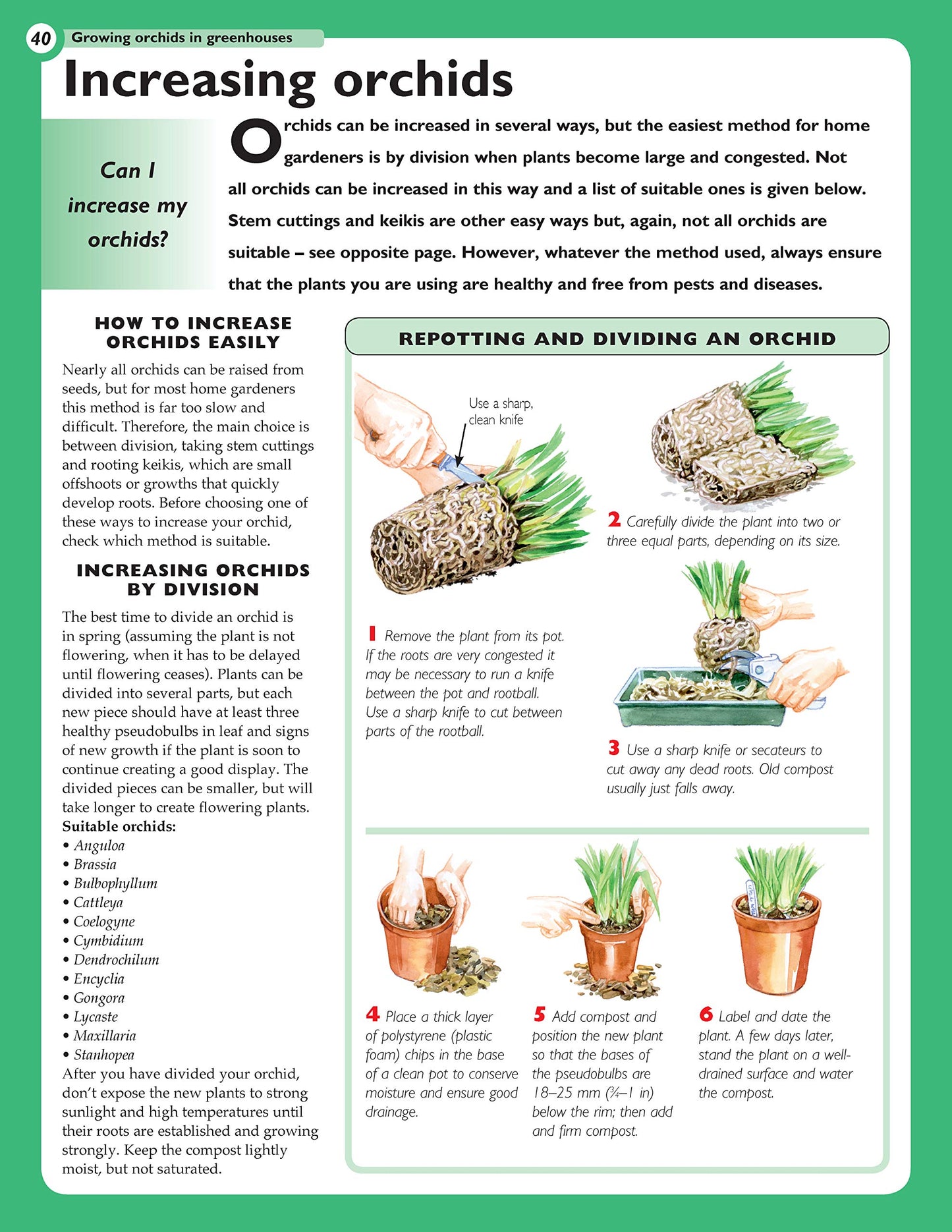 Home Gardener's Orchids: Selecting, Growing, Displaying, Improving and Maintaining Orchids (Creative Homeowner) (Specialist Guide)