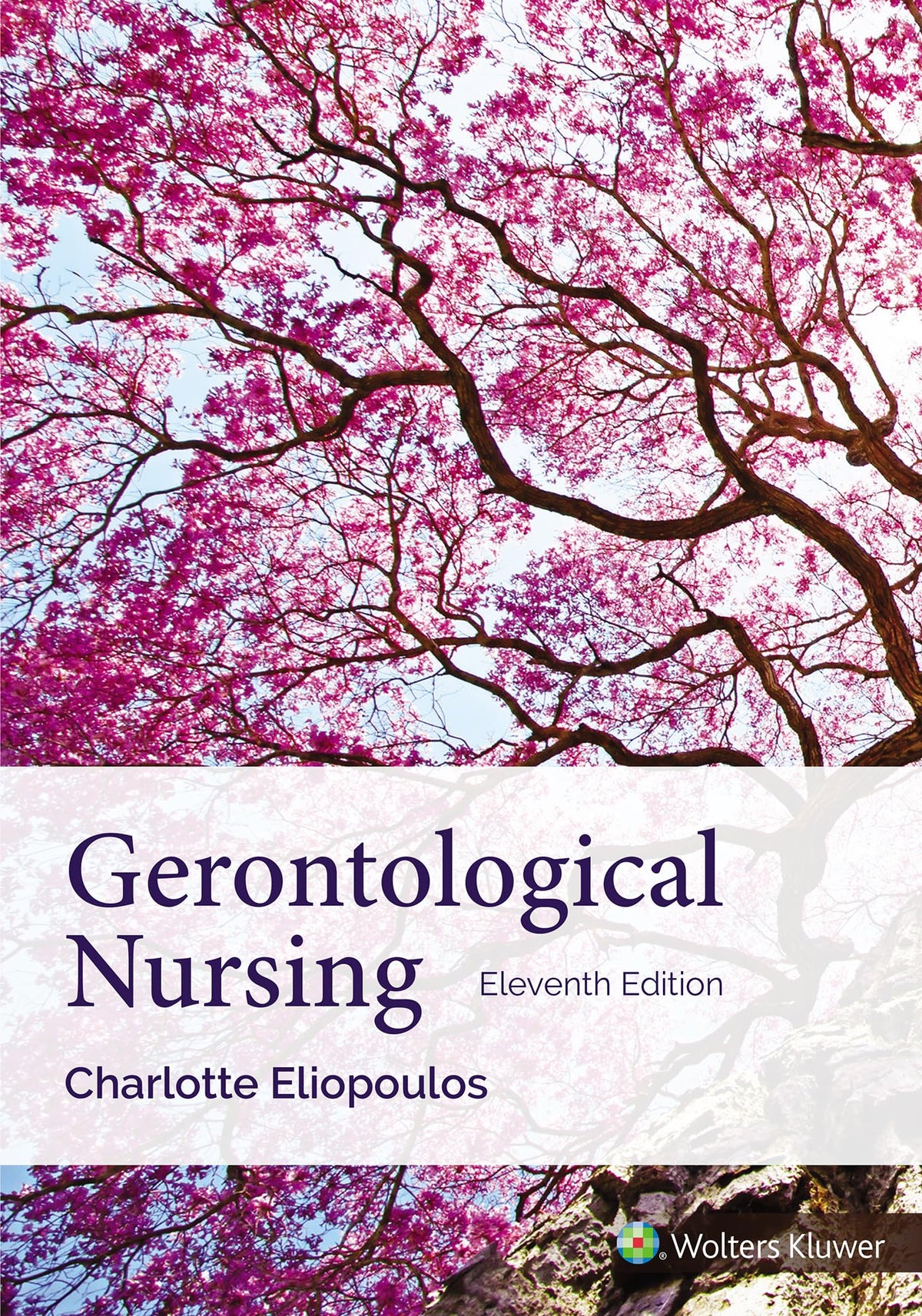 Gerontological Nursing