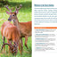Fodor's InFocus Great Smoky Mountains National Park (Full-color Travel Guide)