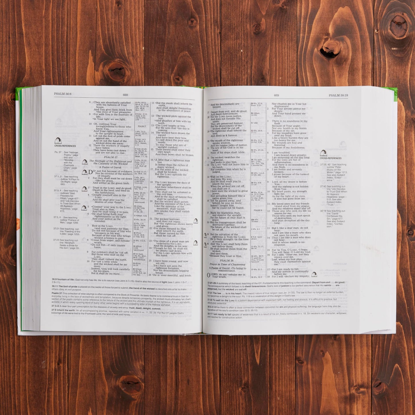 Children's Ministry Resource Bible Helping Children Grow In