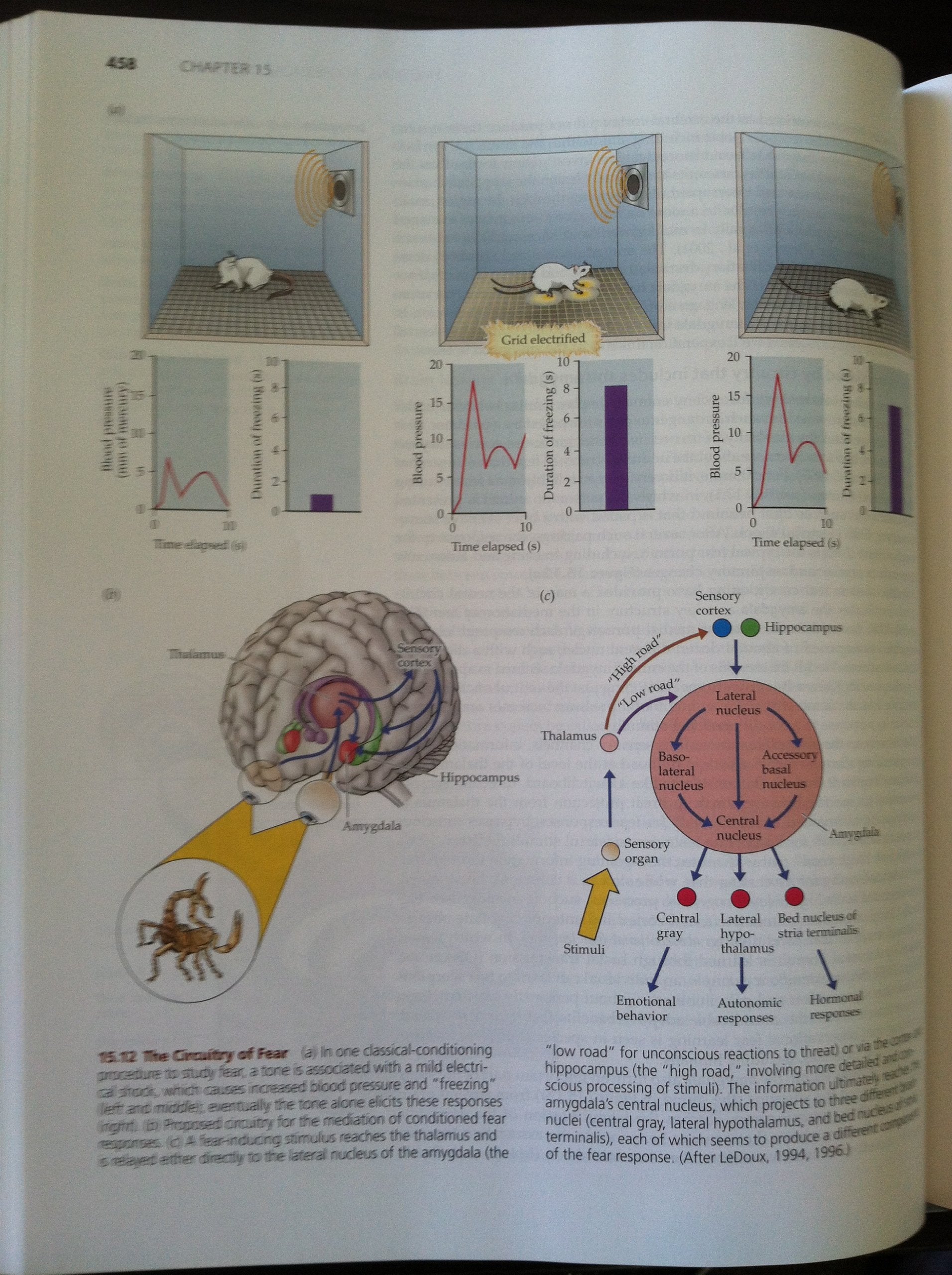 Biological Psychology: An Introduction to Behavioral, Cognitive, and Clinical Neuroscience