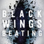 Black Wings Beating (The Skybound Saga, 1)