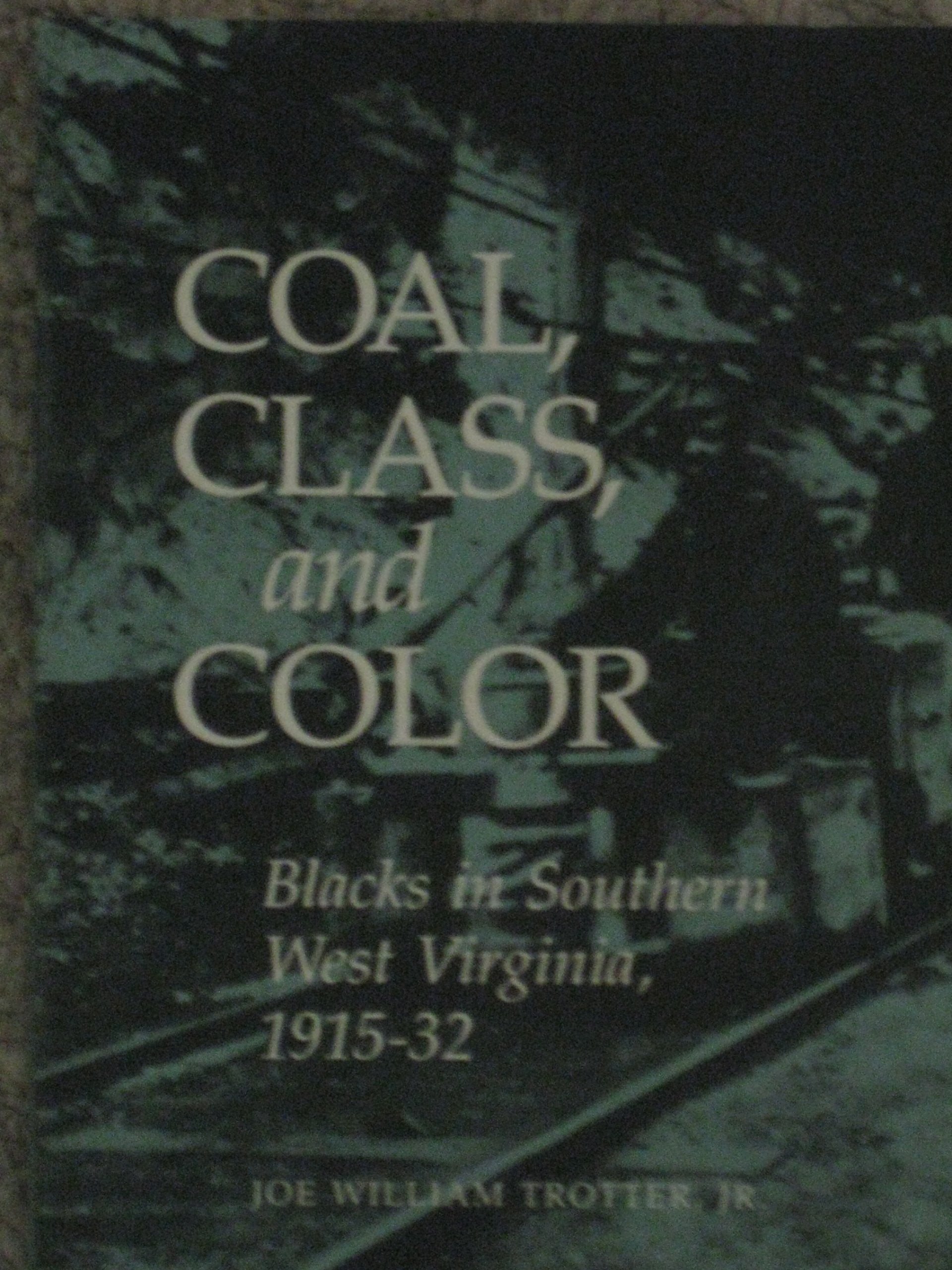 Coal, Class, and Color Blacks in Southern West Virginia, 1915-32 (Blacks in the New World)