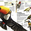Animales (Knowledge Encyclopedia Animal!): El reino animal como nunca lo habas visto (Spanish Edition)