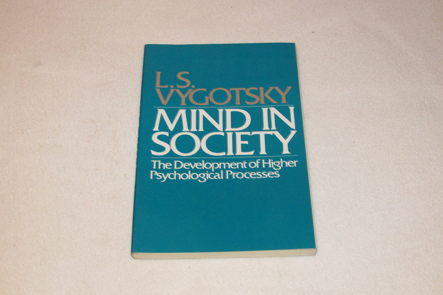 Mind in Society: The Development of Higher Psychological Pro