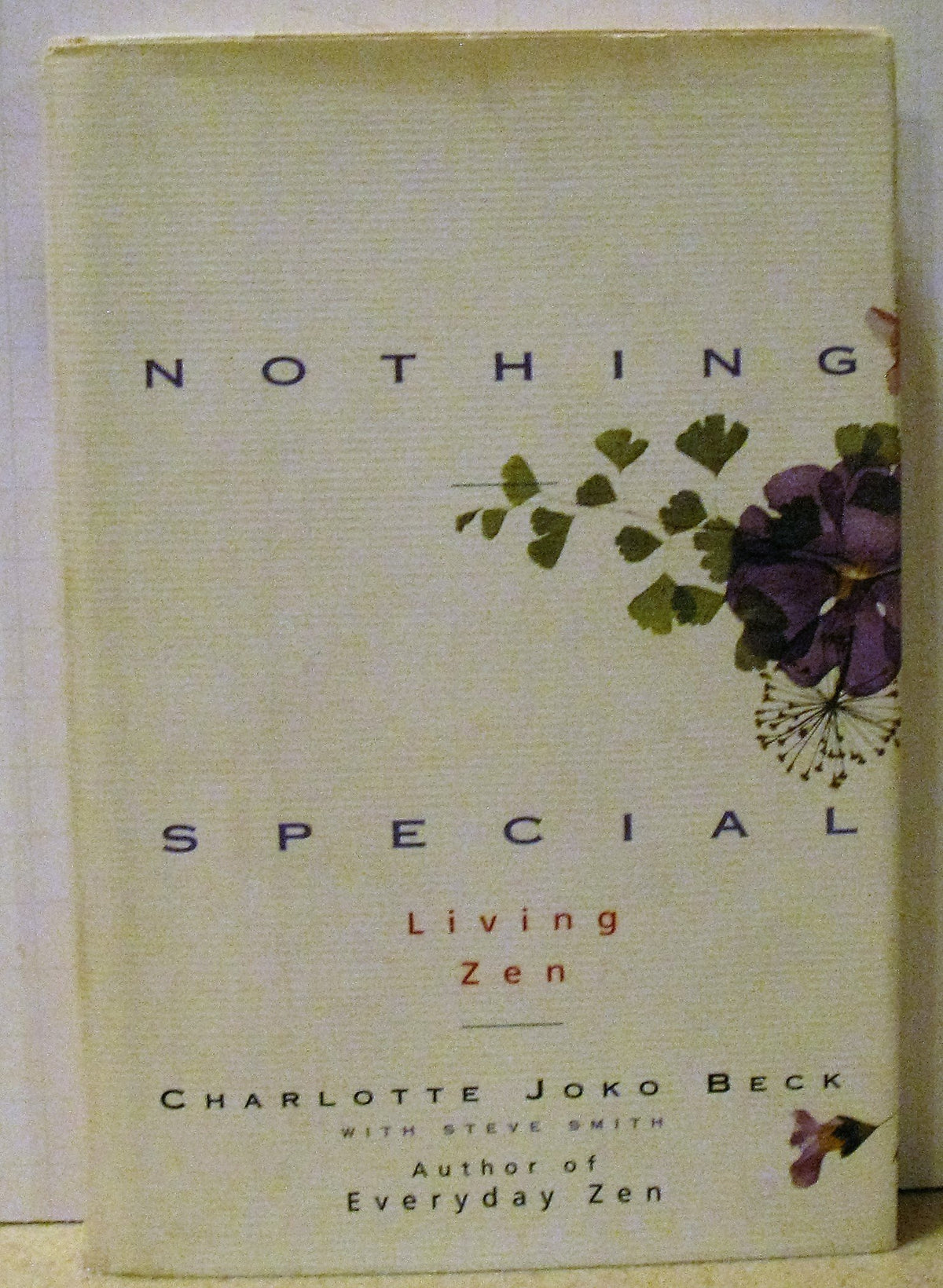 Nothing special: Living Zen