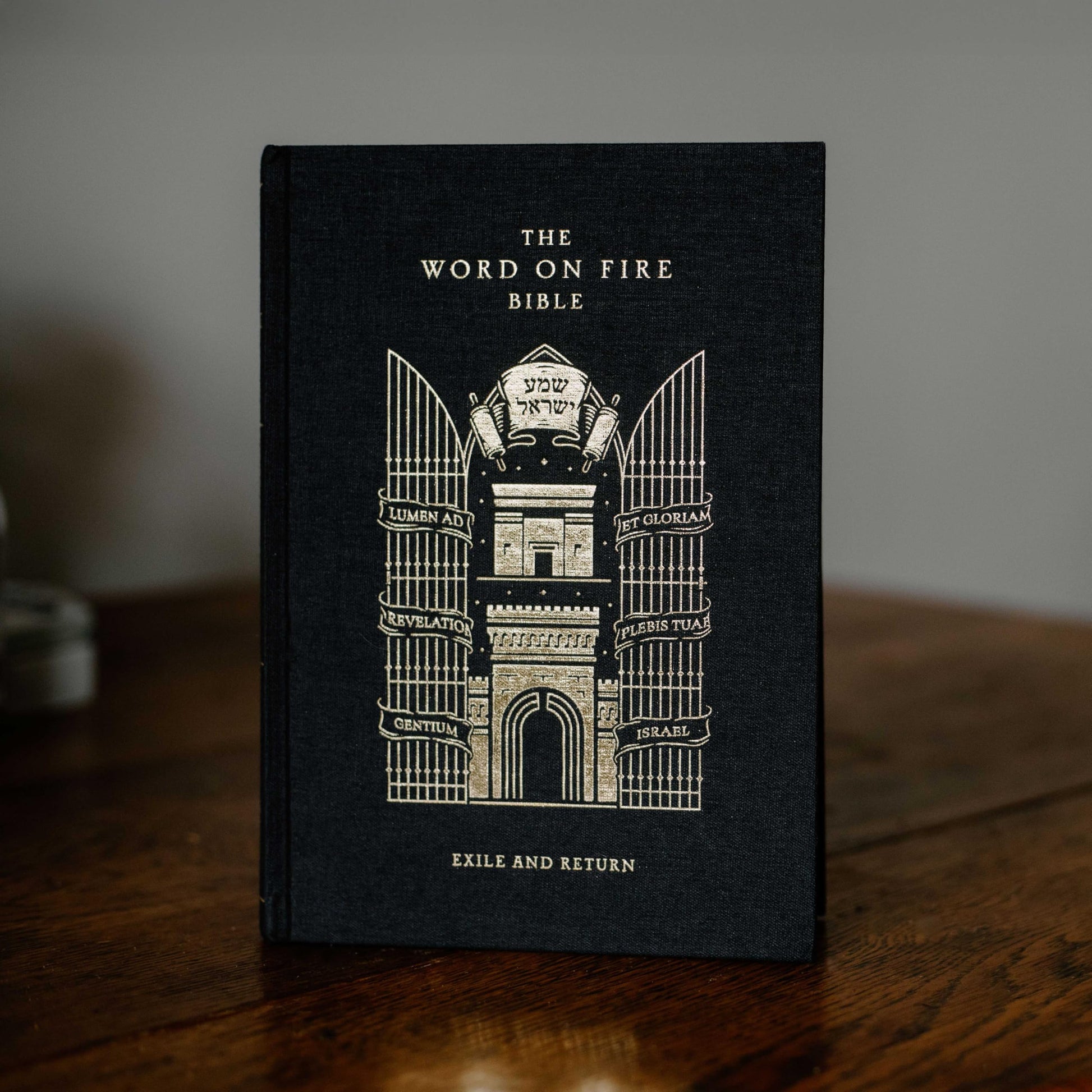 The Word on Fire Bible (Volume V): Exile and Return (Hardcover) (Word on Fire Bible Series)