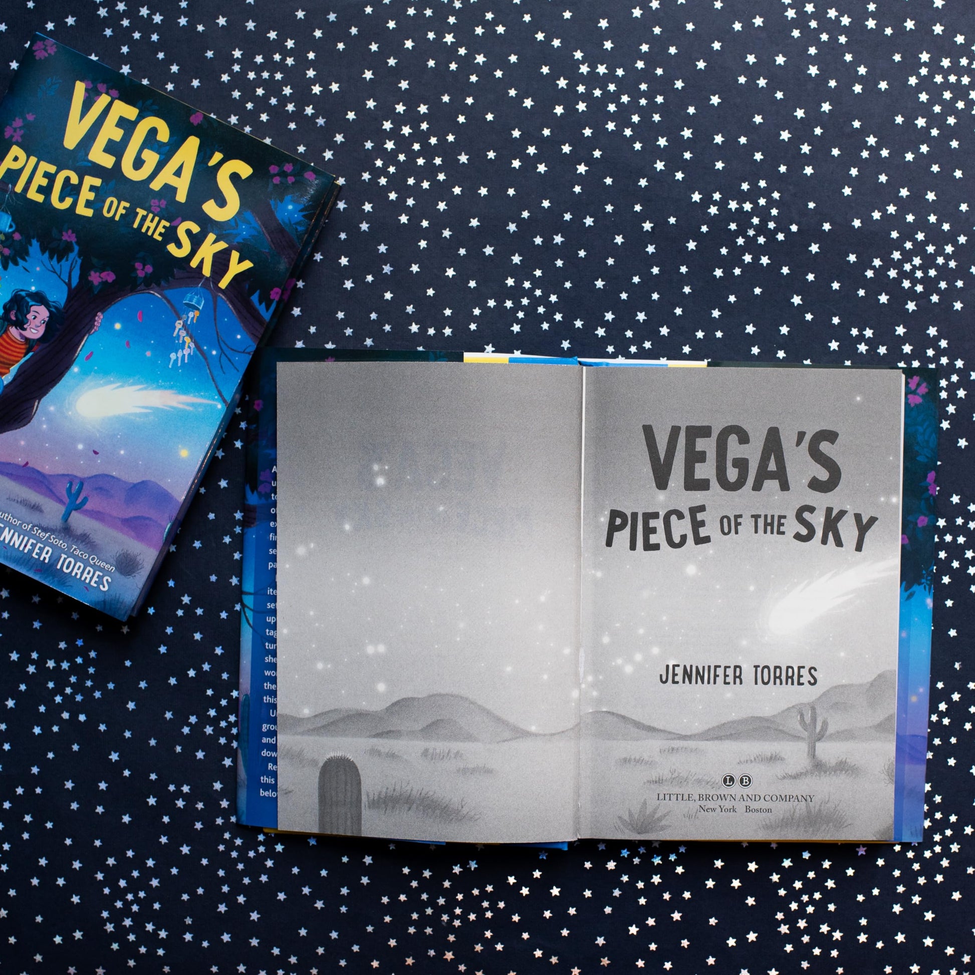 Vega's Piece of the Sky