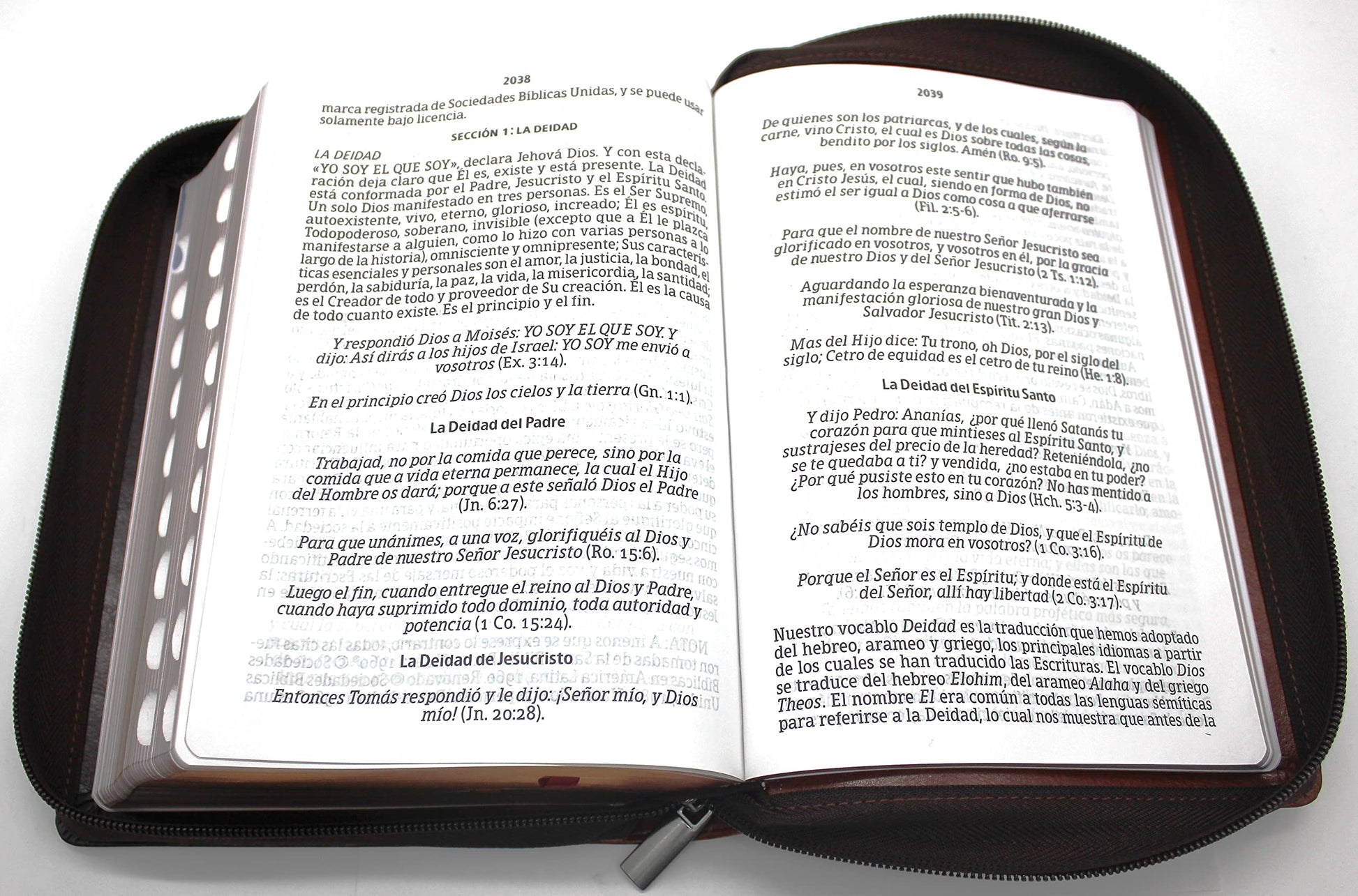 Biblia Reina Valera 1960 Letra Grande en Espa?ol de 14 puntos-Tama?o manual con Cierre, Indice, foro en semil piel color caoba/ RVR 1960 Large Giant Print Bible in Spanish edition, brown with zipper