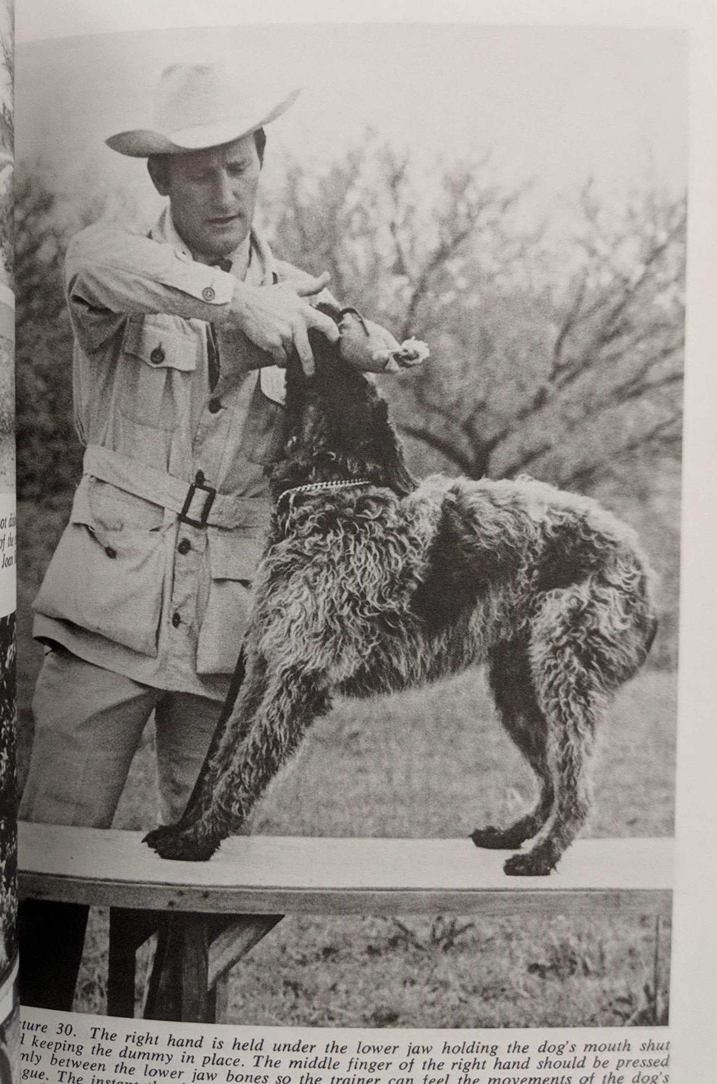 The training and care of the versatile hunting dog