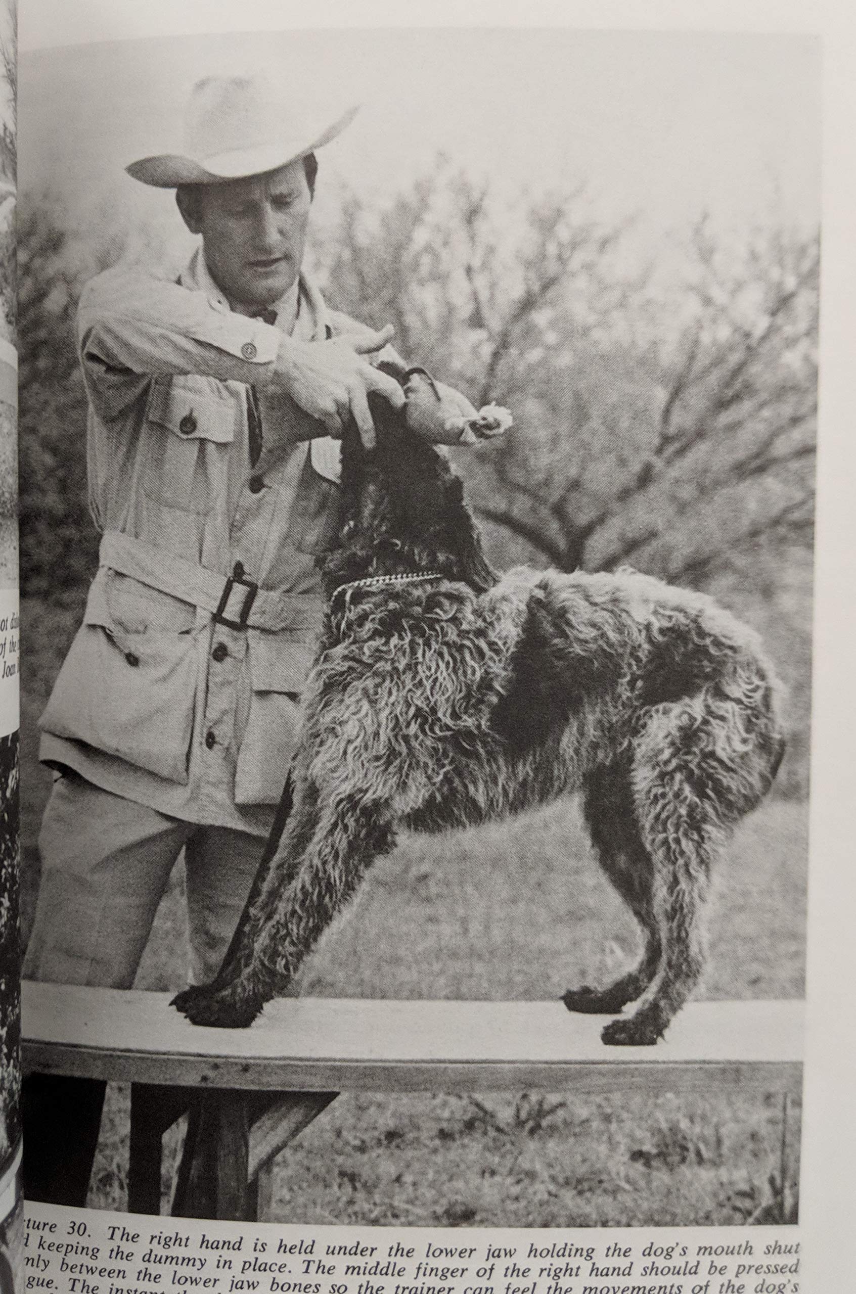 The training and care of the versatile hunting dog