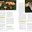 Fruits of the Forest: A Field Guide to Pacific Northwest Edible Mushrooms