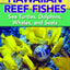 The Ultimate Guide to Hawaiian Reef Fishes: Sea Turtles, Dolphins, Whales, and Seals