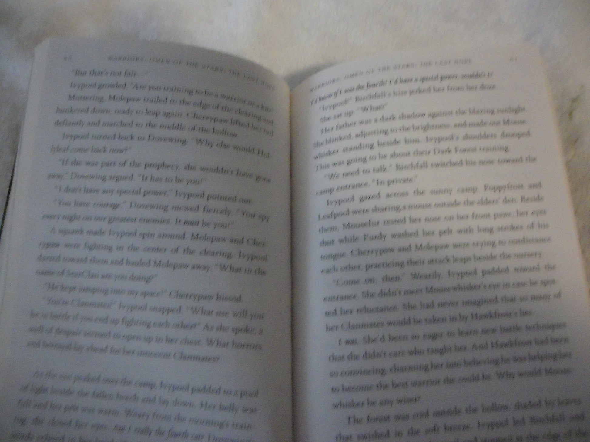 The Last Hope (Warriors: Omen of the Stars No. 6)