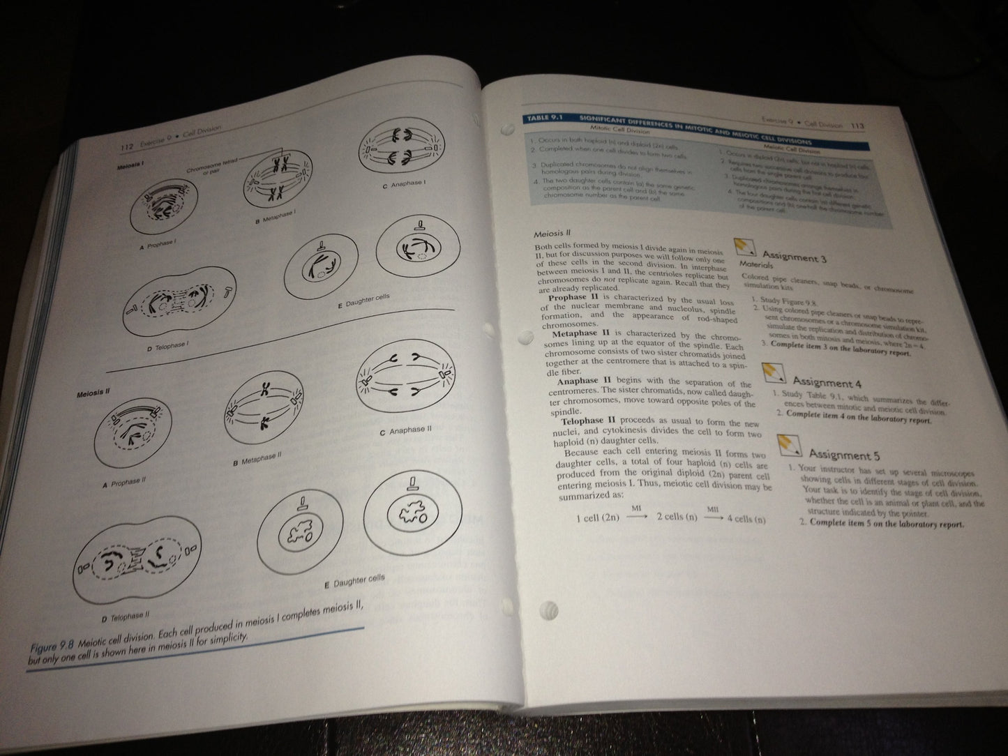 Explorations in Basic Biology