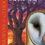 The Burning (Guardians of Ga'Hoole #6) (6)