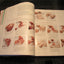 On Cooking: A Textbook of Culinary Fundamentals, 5th Edition
