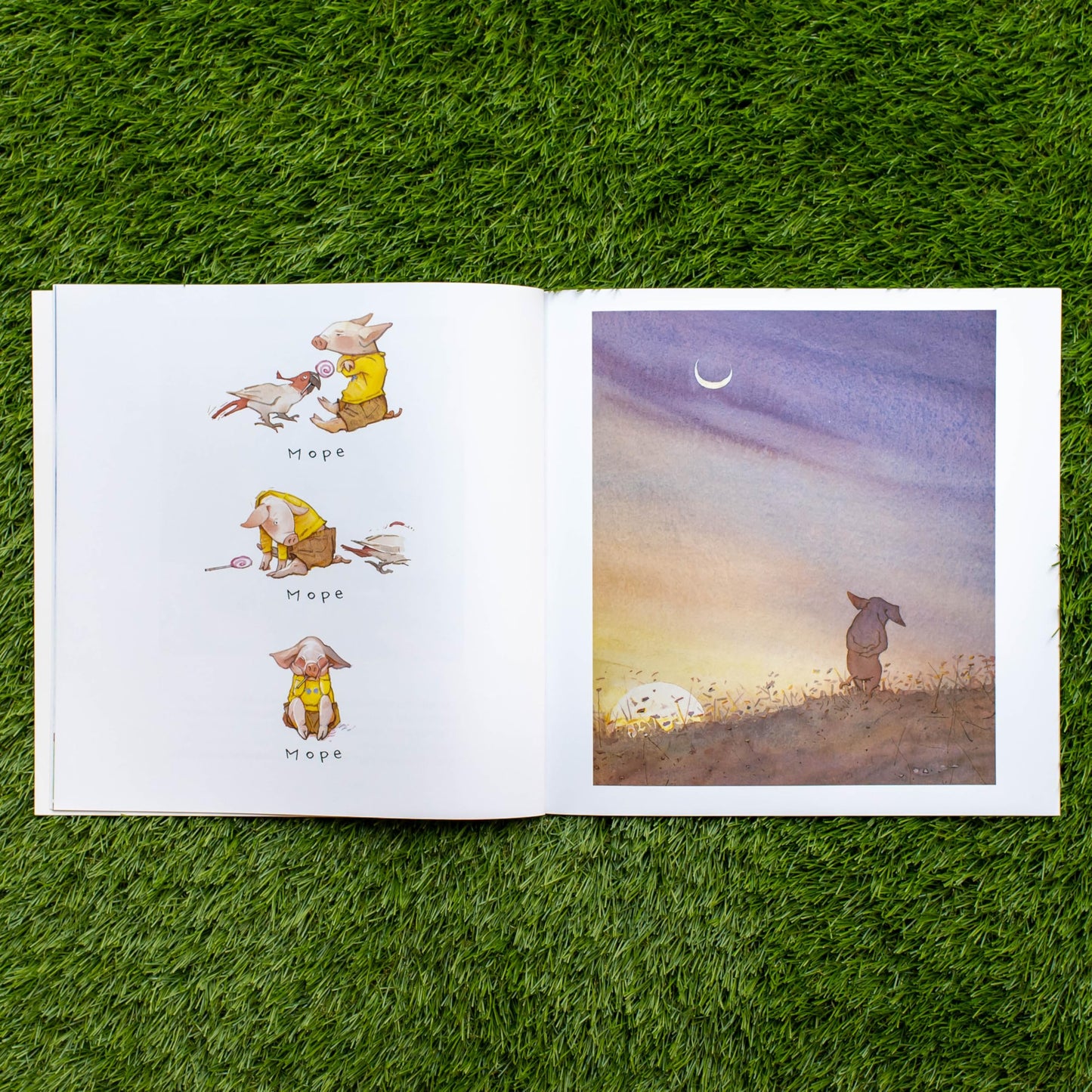 Toot & Puddle