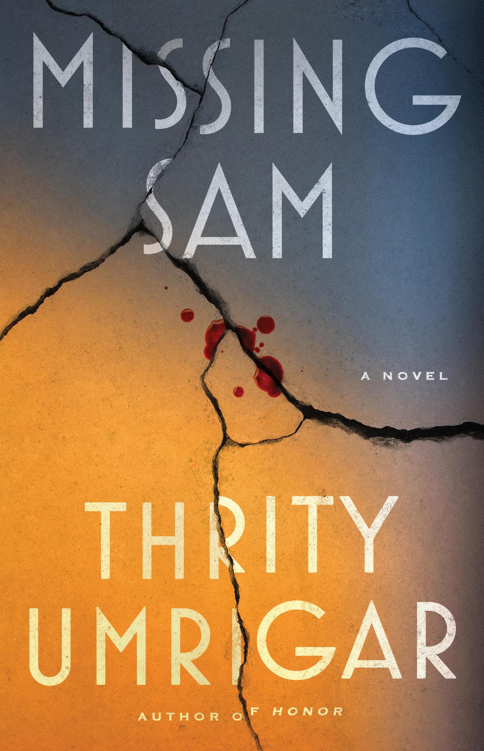 Missing Sam: A Novel