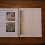 Physical Geology