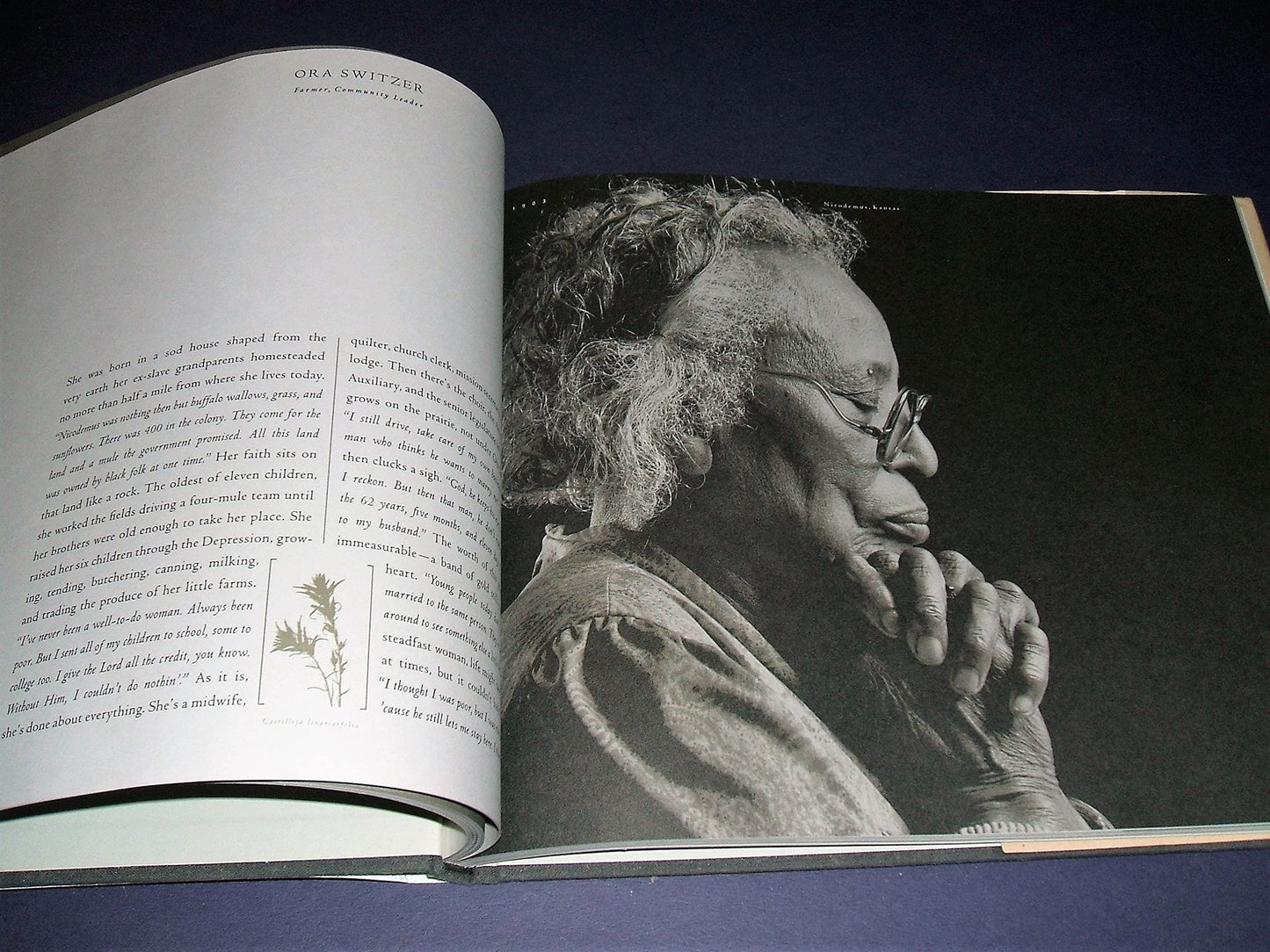 Quiet Pride: Ageless Wisdom of the American West