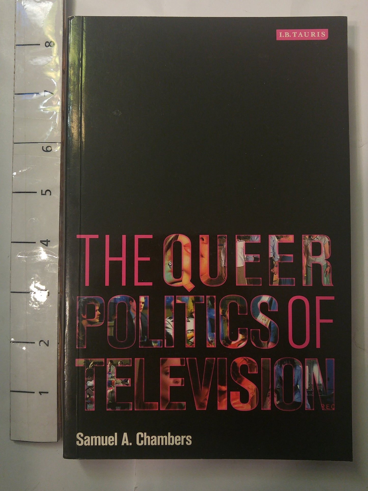 The Queer Politics of Television (Reading Contemporary Television)