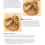 Landscape Pyrography Techniques & Projects: A Beginner's Guide to Burning by Layer for Beautiful Results (Fox Chapel Publishing) Woodburning Textured, Lifelike Scenes in Layers, with Lora S. Irish