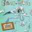 Bone by Bone: Comparing Animal Skeletons (Animal by Animal)