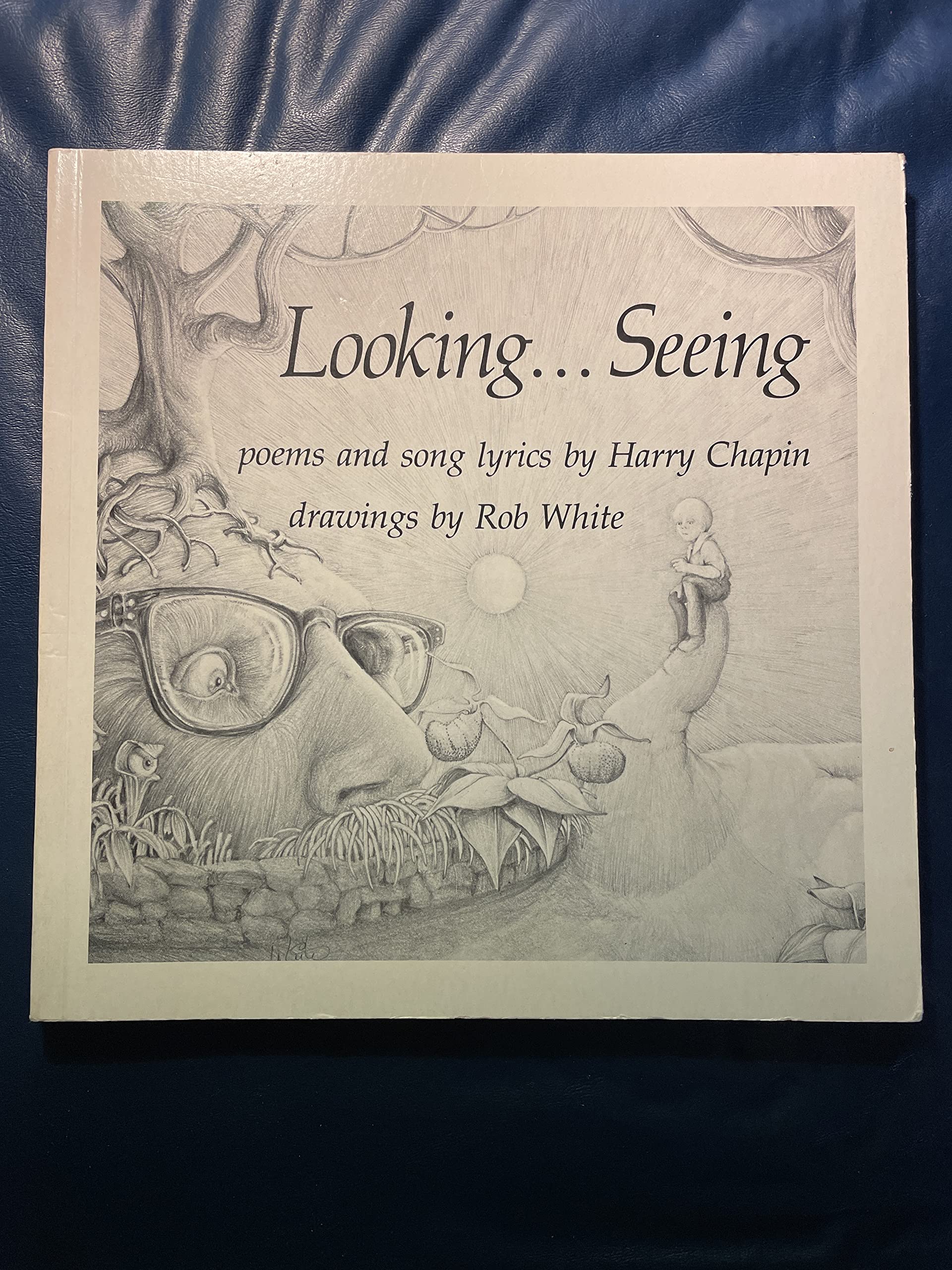 Looking ... seeing: Poems and song lyrics
