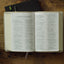 ESV Large Print Compact Bible, Red Letter (TruTone, Stone, Branch Design): Holy Bible, English Standard Version