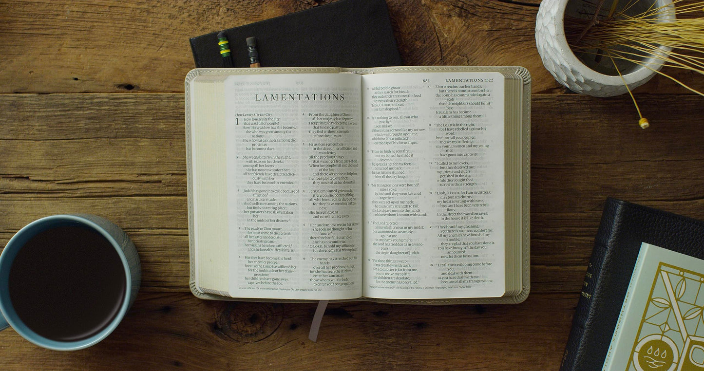 ESV Large Print Compact Bible, Red Letter (TruTone, Stone, Branch Design): Holy Bible, English Standard Version