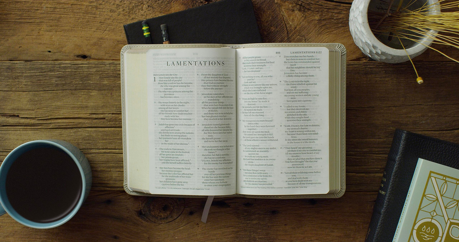 ESV Large Print Compact Bible, Red Letter (TruTone, Stone, Branch Design): Holy Bible, English Standard Version