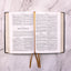 Douay-Rheims Bible Large Print Edition