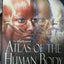 Illustrated Atlas of the Human Body