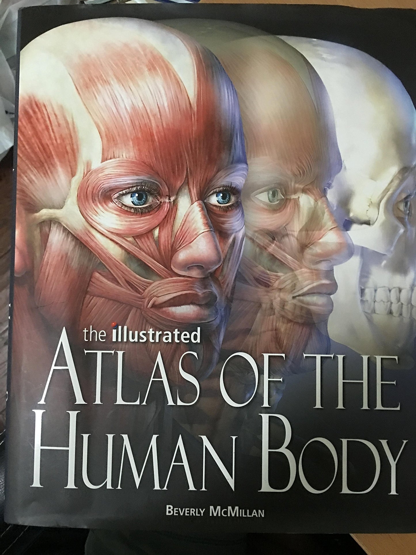 Illustrated Atlas of the Human Body