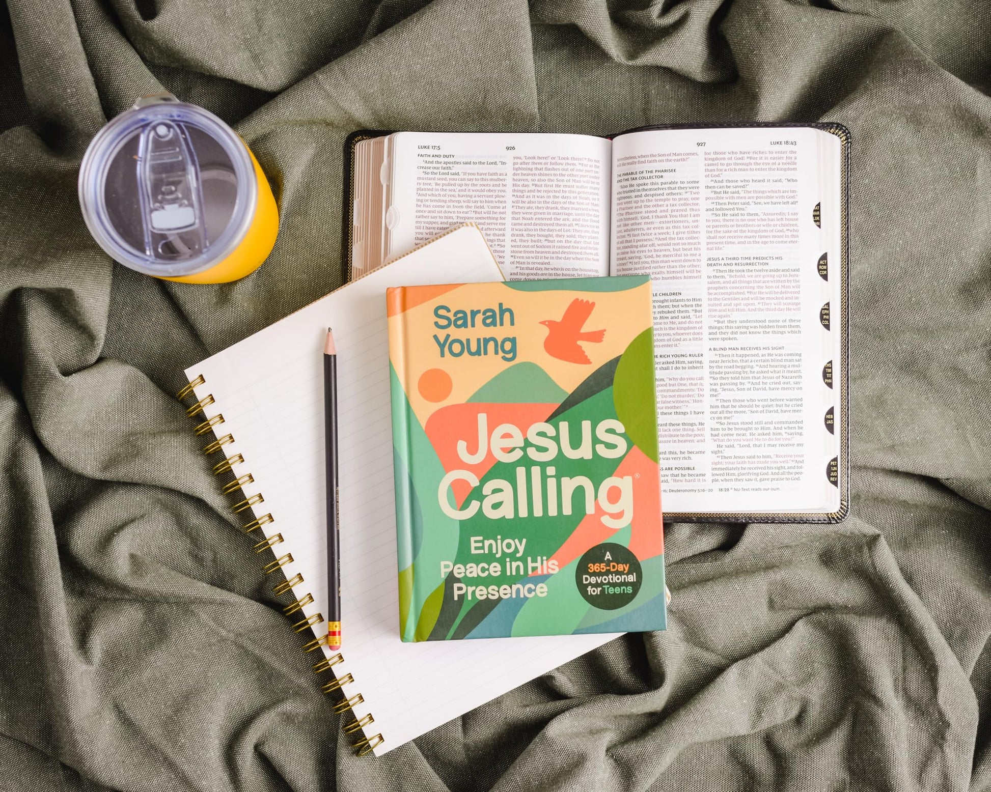 Jesus Calling, Teen Cover, with Scripture References: Enjoy Peace in His Presence (A 365-Day Devotional for Teens)