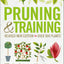 Pruning and Training, Revised New Edition: What, When, and How to Prune