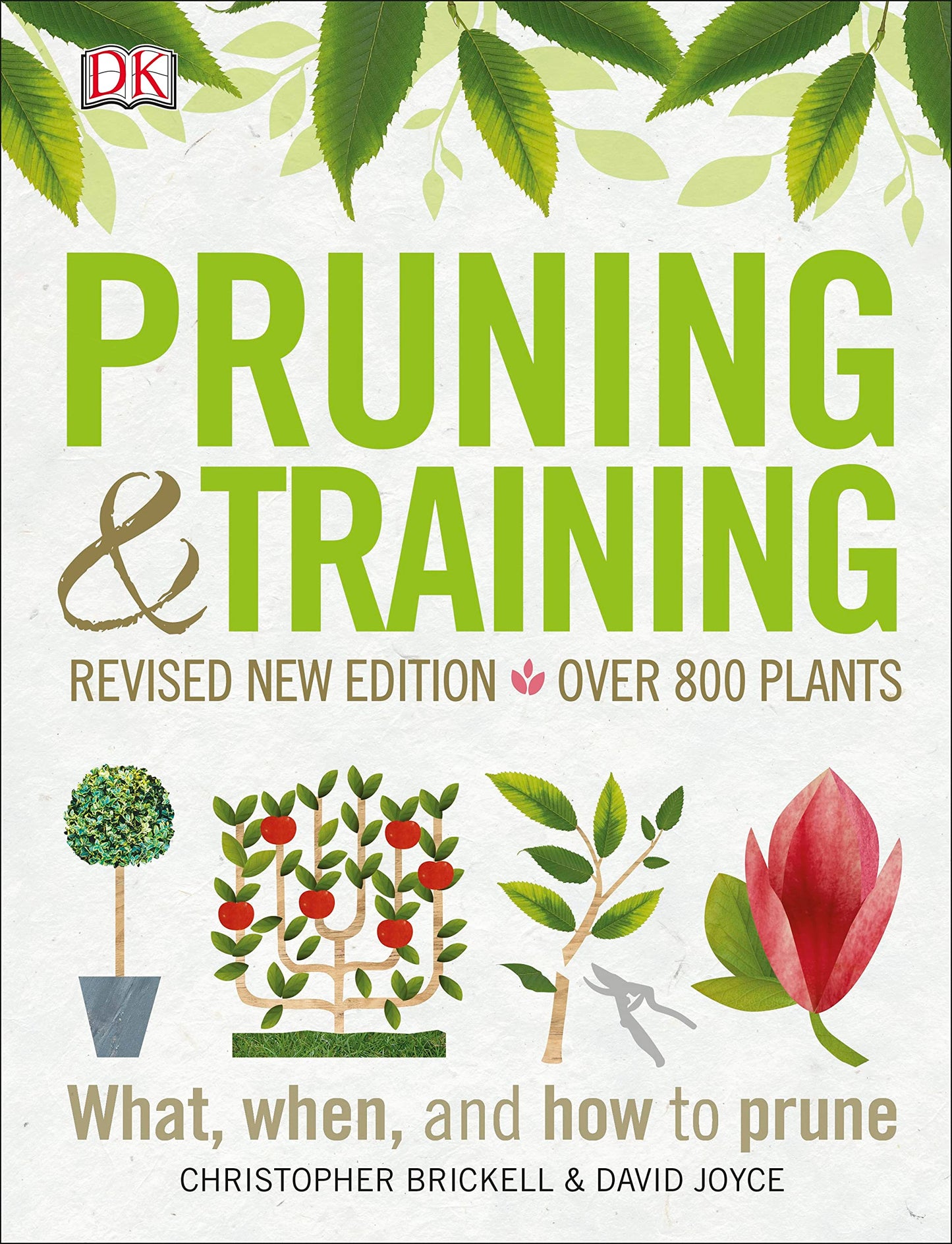 Pruning and Training, Revised New Edition: What, When, and How to Prune