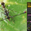 Super Bug Encyclopedia: The Biggest, Fastest, Deadliest Creepy-Crawlers on the Planet (DK Super Nature Encyclopedias)