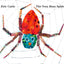 The Very Busy Spider (World of Eric Carle)