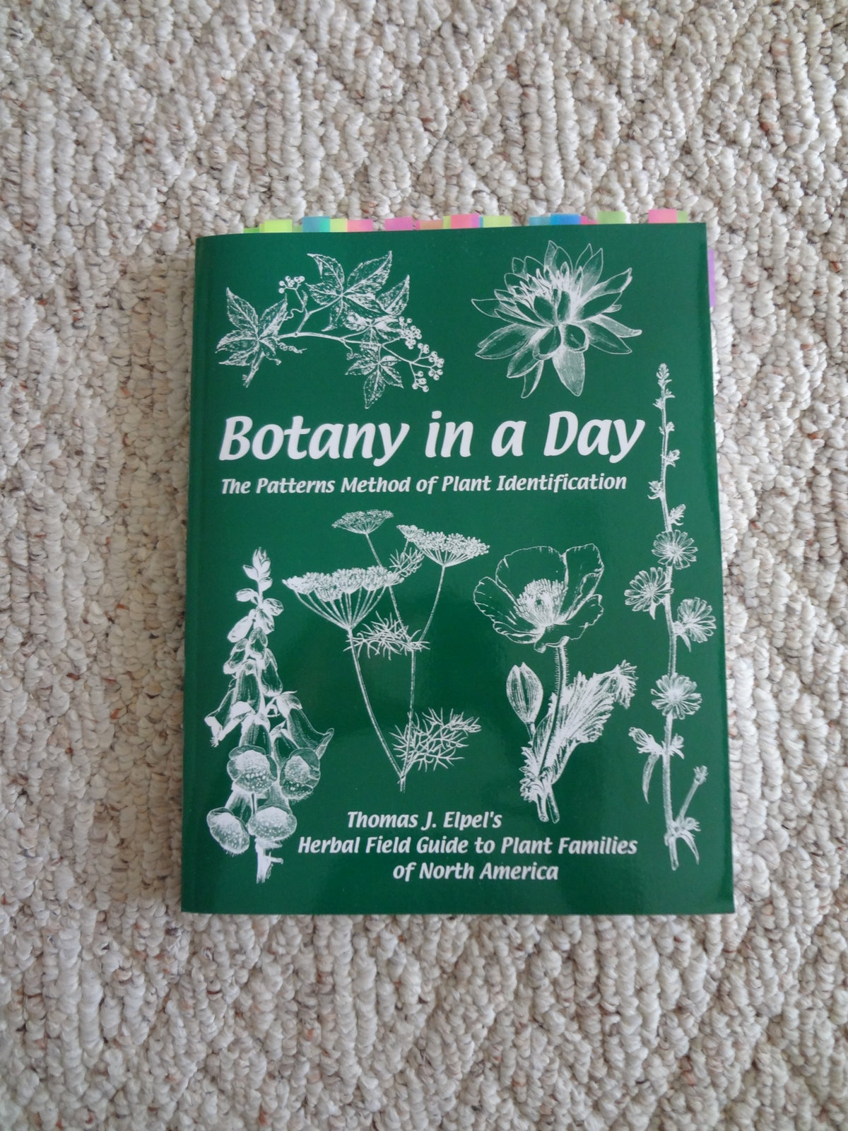 Botany in a Day: The Patterns Method of Plant Identification