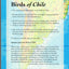 Birds of Chile (Princeton Field Guides)
