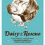 Daisy to the Rescue: True Stories of Daring Dogs, Paramedic