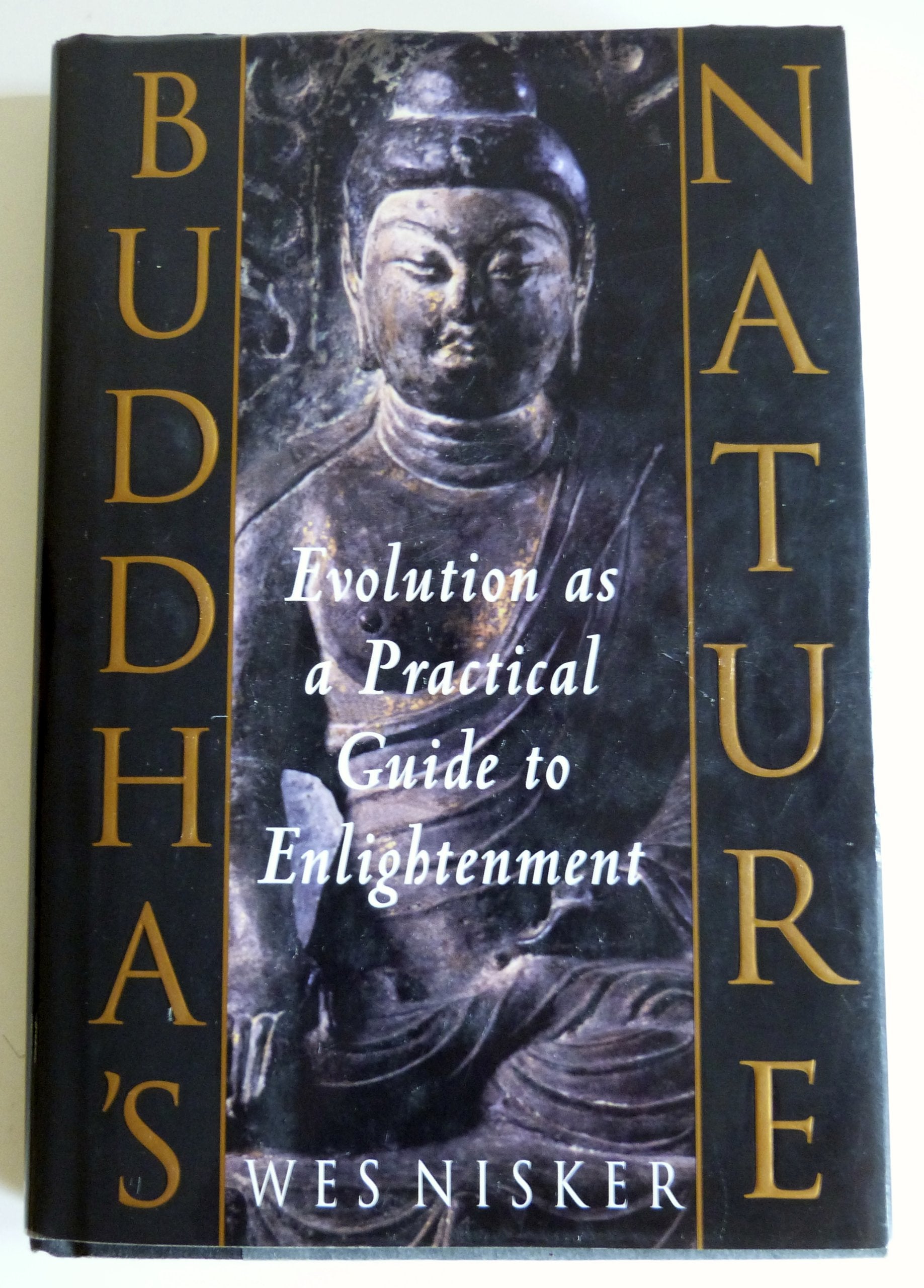 Buddha's Nature: A Practical Guide to Enlightenment Through Evolution
