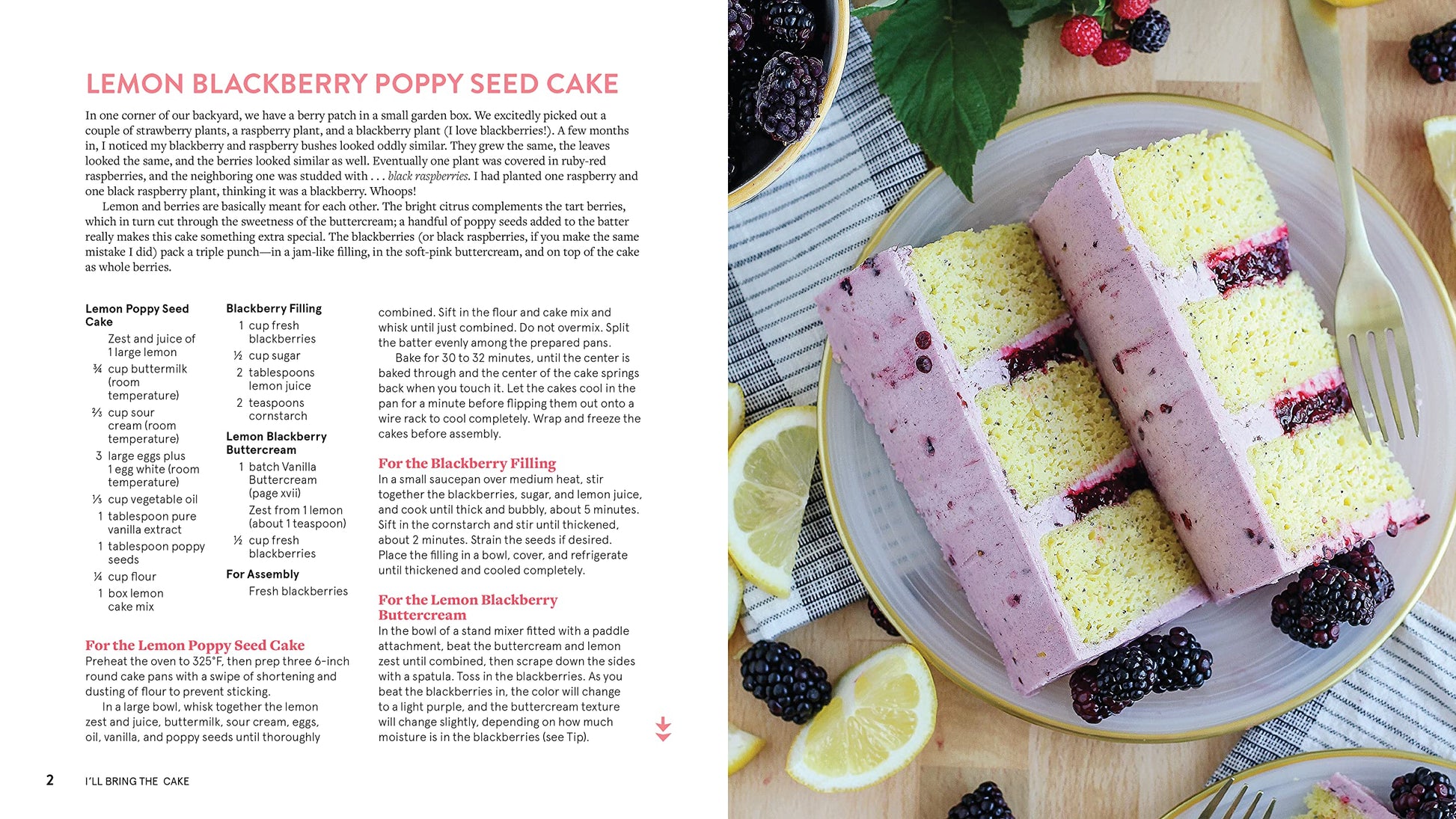 I'll Bring The Cake: Recipes for Every Season and Every Occasion