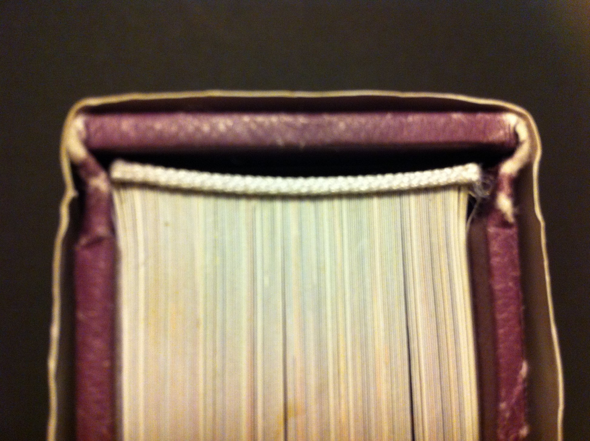 Masterpieces: Performance Architecture + Design (Masterpieces (Braun))
