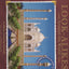 Look-Alikes Around the World by Steiner, Joan