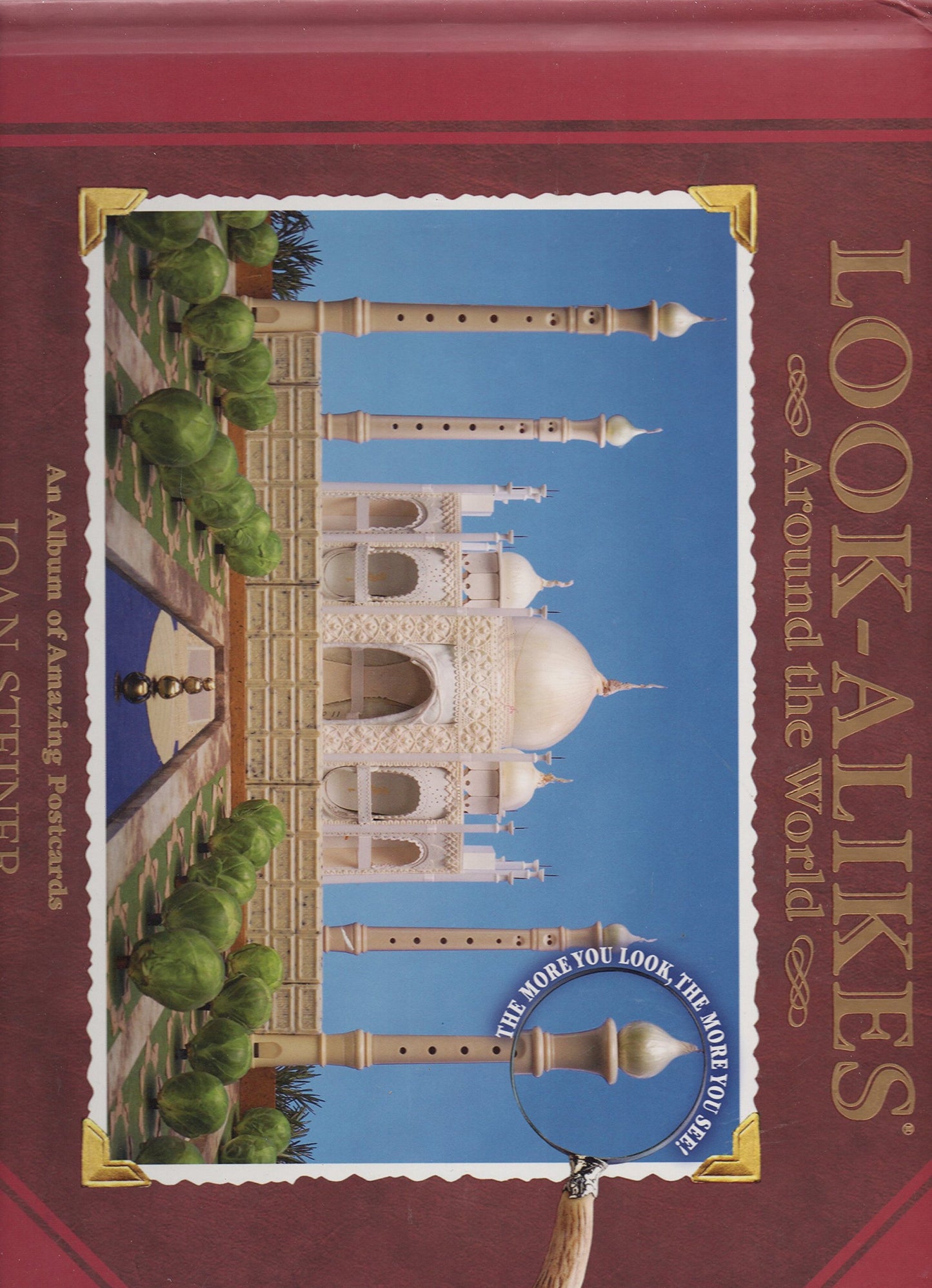 Look-Alikes Around the World by Steiner, Joan