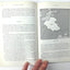 The Next 100 Years: A Forecast for the 21st Century by Fried
